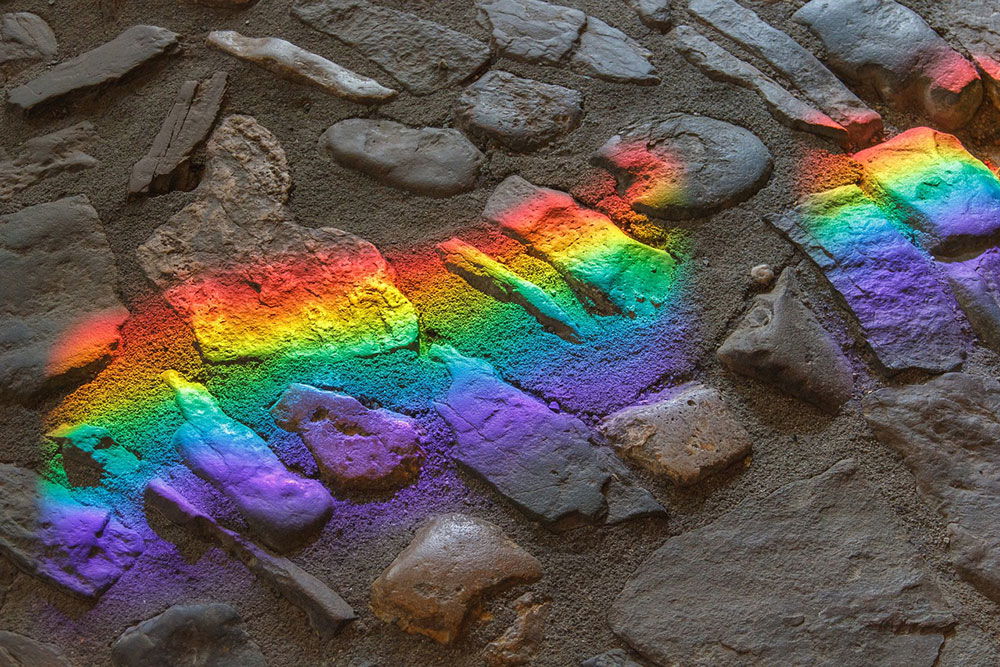 LGBT plus