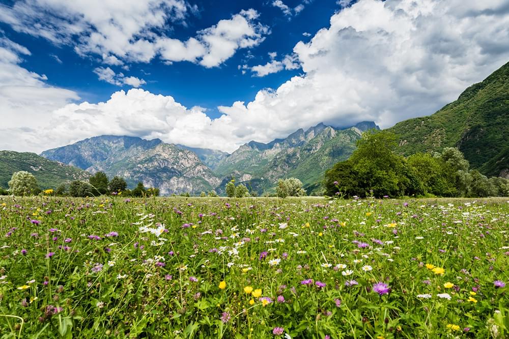 Sondrio Province